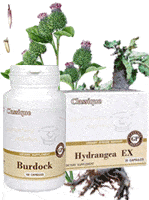 burdock-hydrangea-ex-santegra-rinkinys-s-3-kaina-akcija